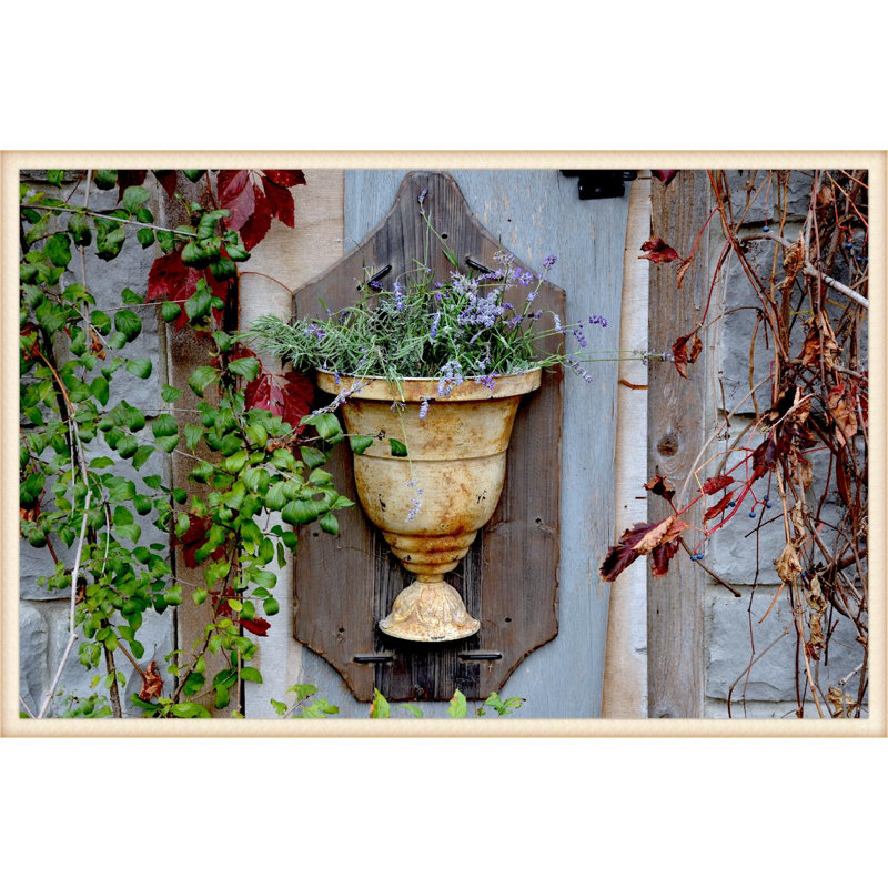 Ophelia & Co. Distressed Wall Urn Wall Planter Wayfair